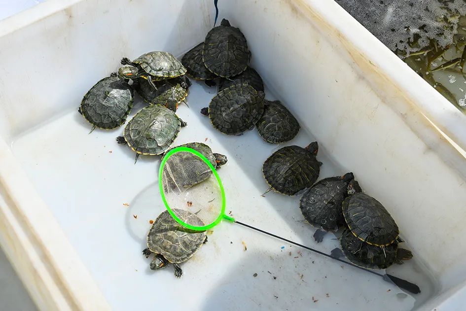 北京京郊大集地理位置,今天京郊哪有大集