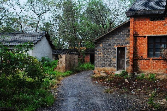 山区农民怎么走上致富路,山区有什么致富项目