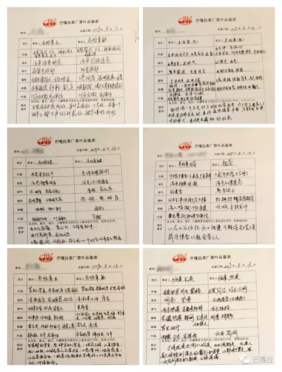 老班章古树熟茶品鉴会,熟茶班章古树茶