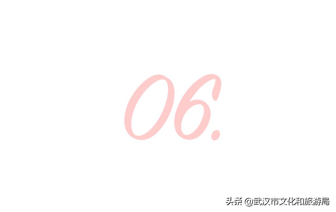 武汉东湖樱花门票,武汉看樱花的景点