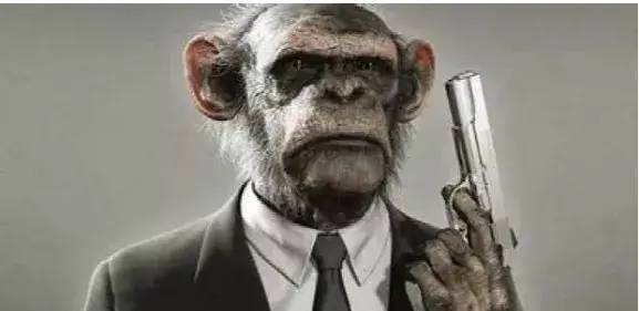 浜虹尶绻佹畺瀹為獙鎴愬姛浜嗗悧,浜虹尶绻佹畺瀹為獙