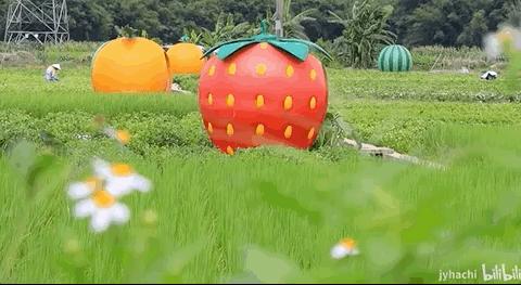 立秋都来了，可夏天的它们好难戒掉……