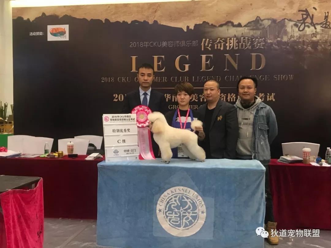 深圳宠物美容培训学校排名,壹择宠物美容培训学校