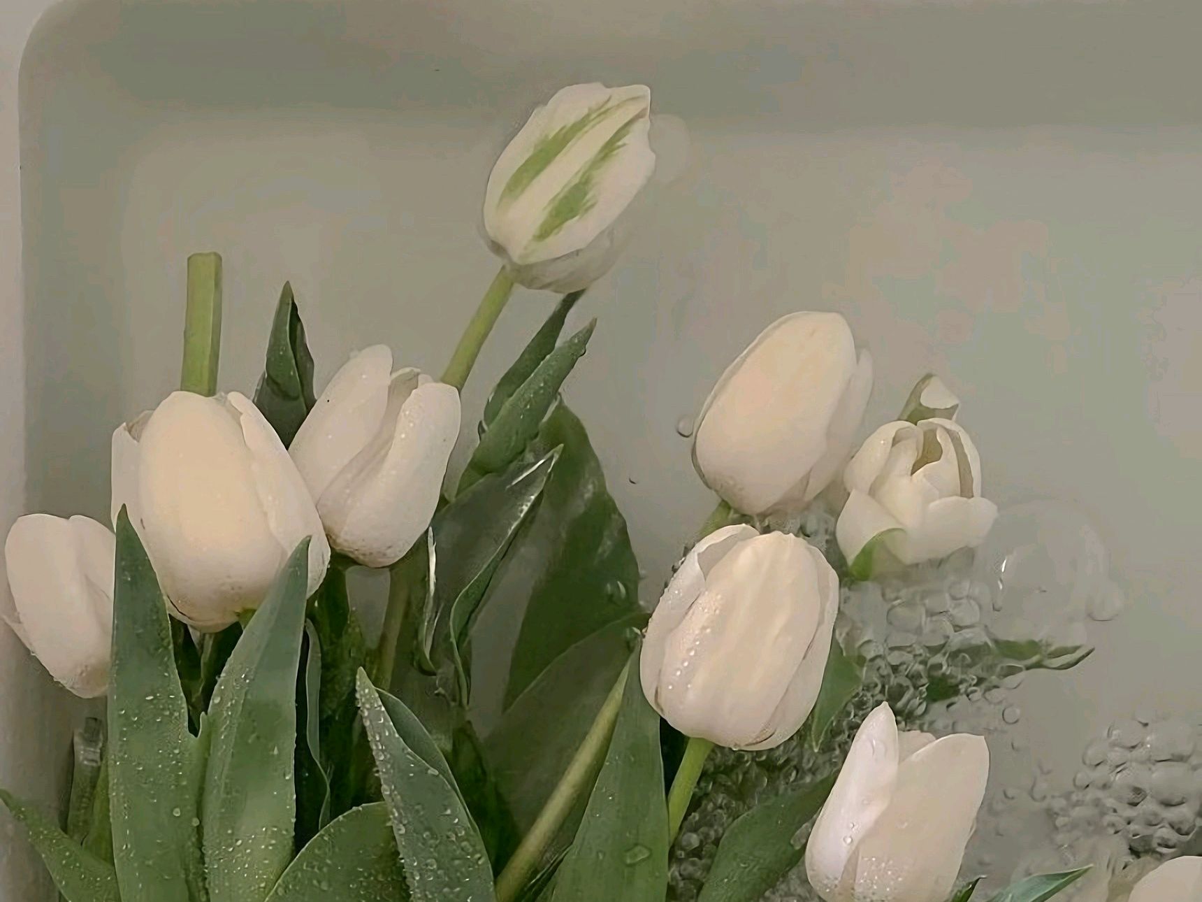 十二星座男生高冷指数,外冷内热的男人有魅力