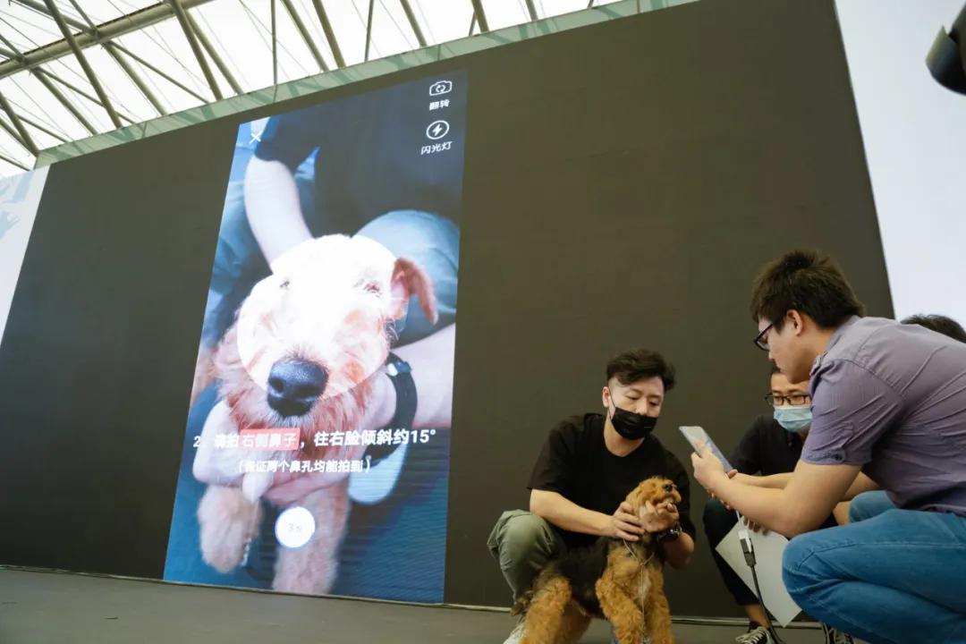 宠物新零售模式大全,宠物新零售新模式