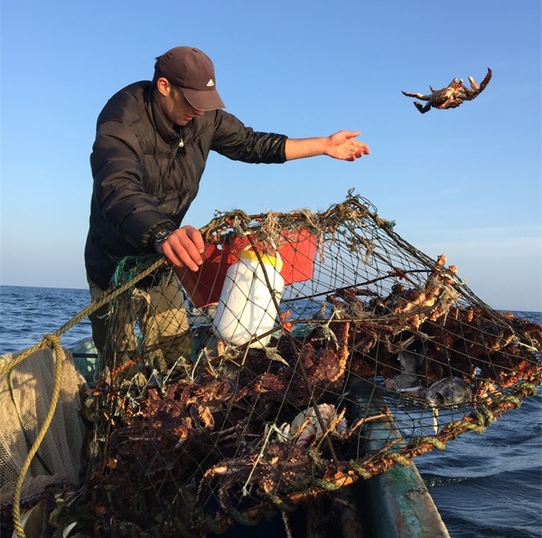 我是一个默默无闻的海钓人，但我可能吃过世界上所有的海鲜