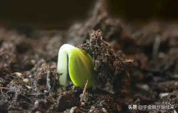 收录机哪款最经典,收录机经典