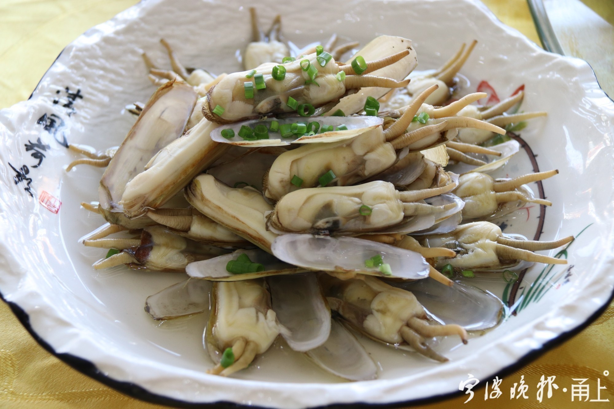 “吃客精”打卡宁波宁海长街！冲着陈晓卿口中“星球上最好吃的蛏子”而来