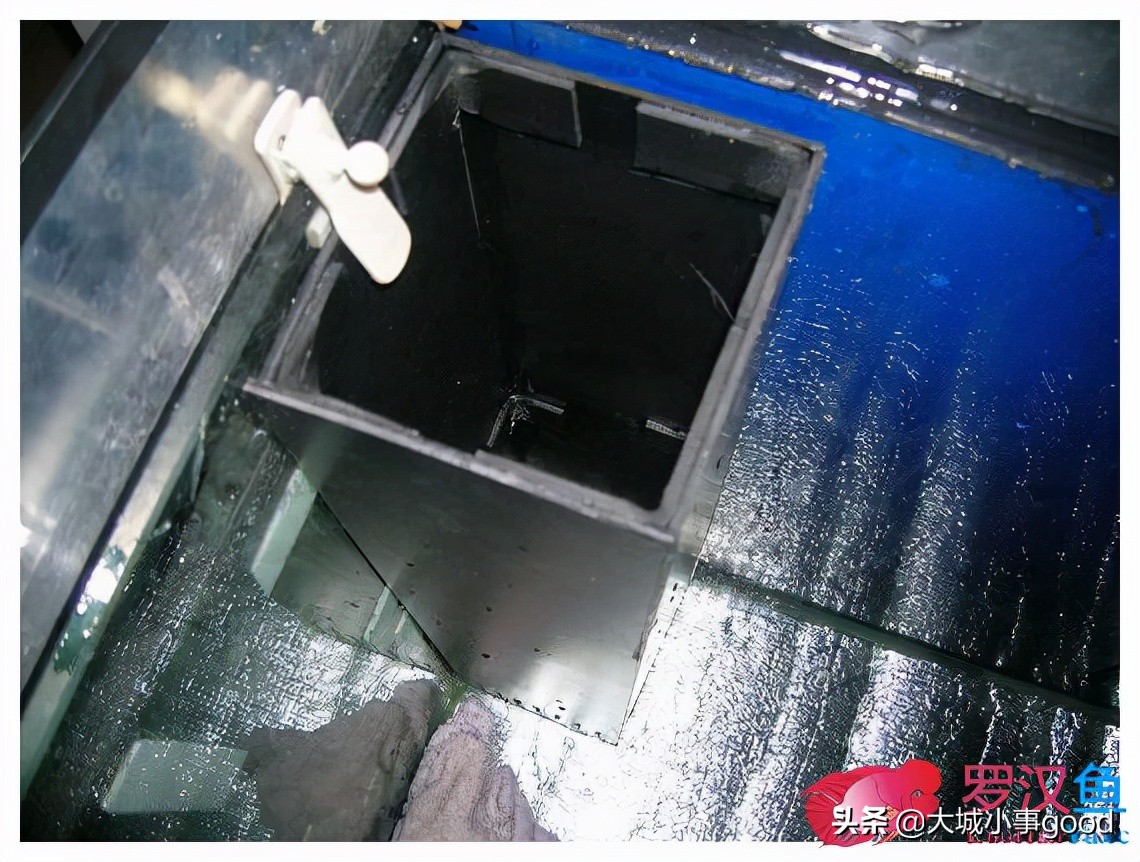 鱼缸过滤系统的基础解析,鱼缸过滤桶过滤原理