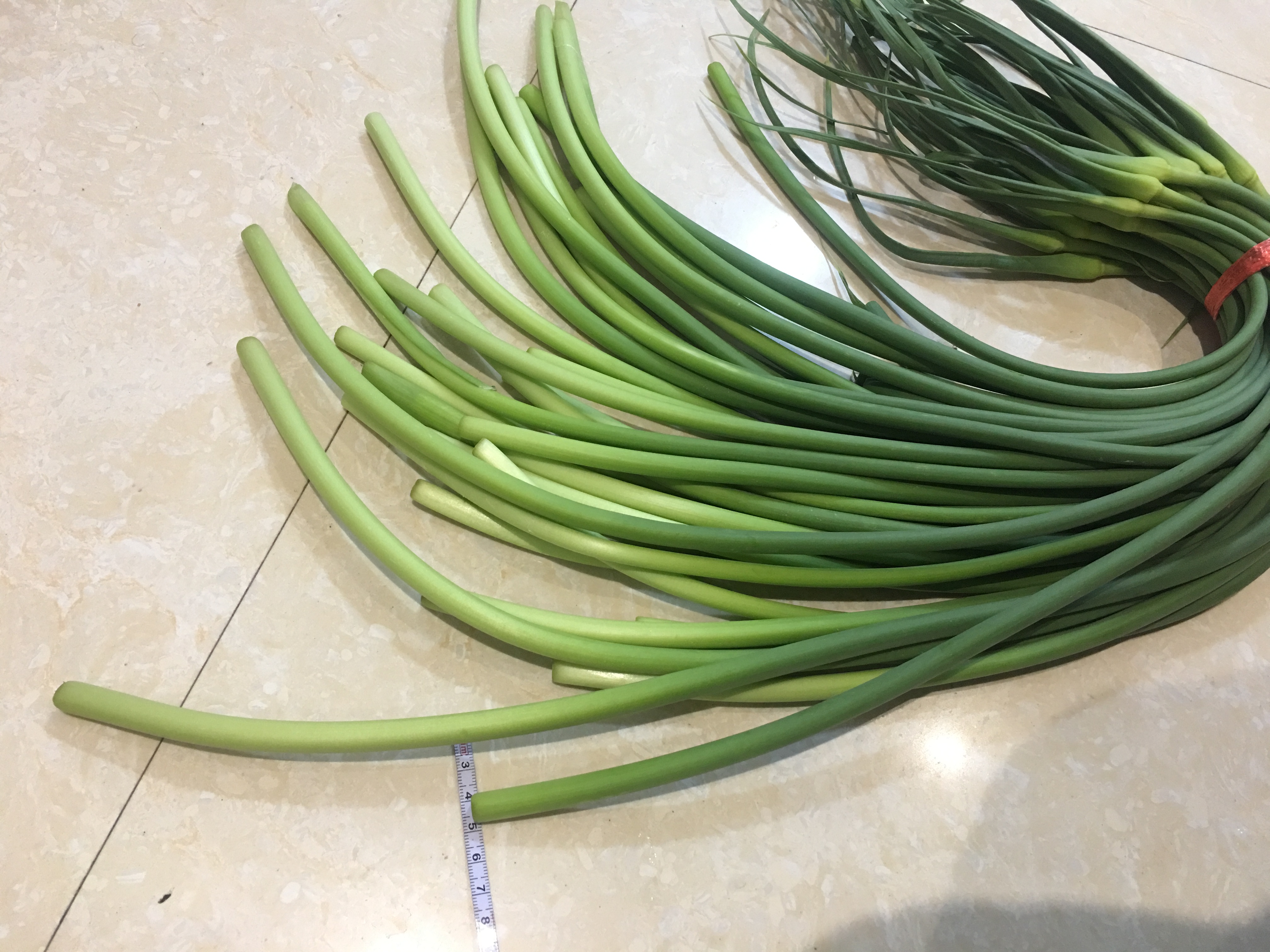 一则关于蒜薹的往事，曾被莫言写成小说，告诫要以群众利益为先