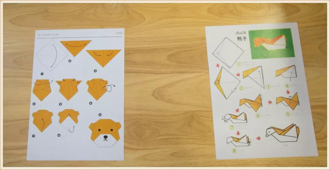 环境创设主题墙大班动物,可爱的小动物大班环境创设