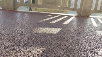 5in1Uni-Moulding一体成型日常元素休闲运动鞋繁星版不走寻常路