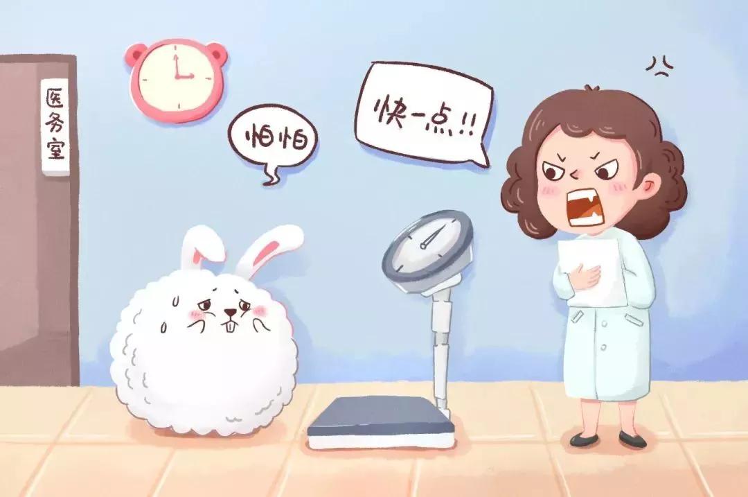 看图写话范文模板大全,看图写话万能模板范文