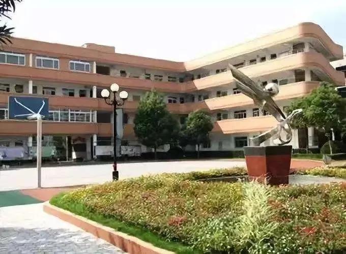 上海十大最好小学排行榜,上海各区体育特点学校