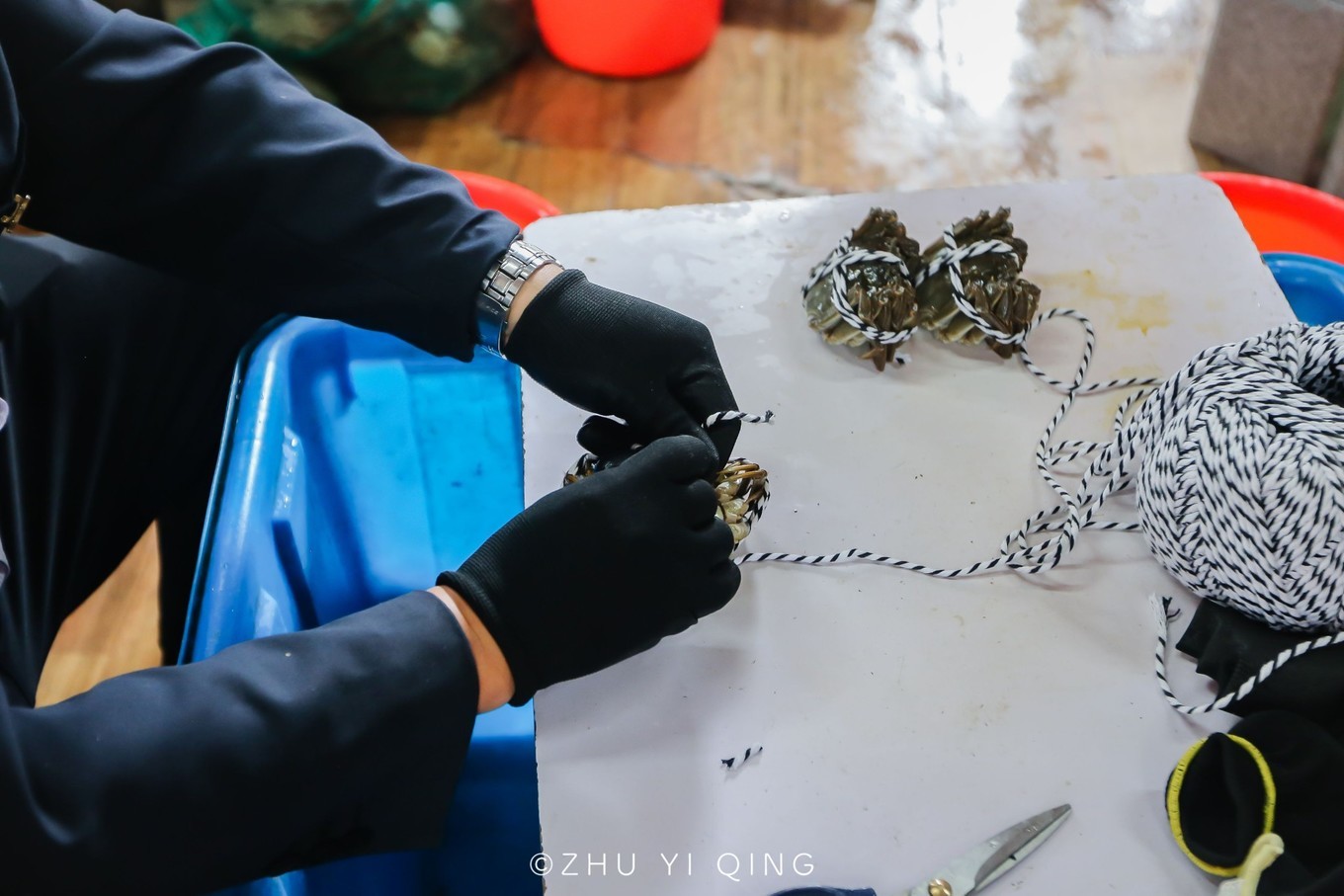 在哪儿能吃到正宗阳澄湖大闸蟹,哪里才能吃到正宗的阳澄湖大闸蟹