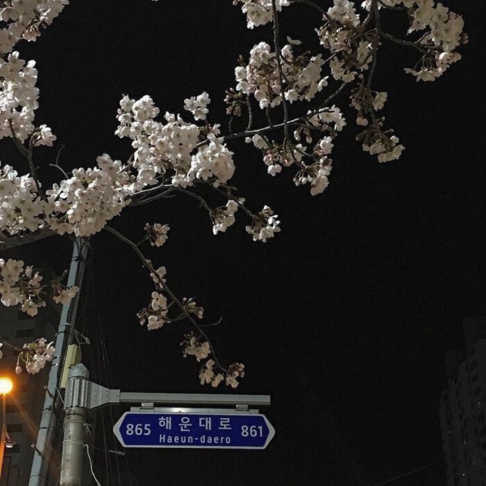 十二星座迷人长相男孩子,十二星座长相大揭秘你预料到了么