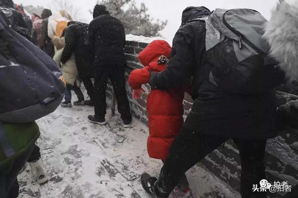 北京迎初雪9只熊猫,北京喜迎初雪去北京动物园看熊猫