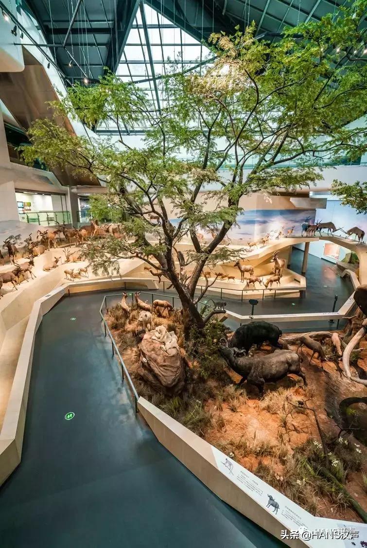 汉口夏天,汉口夏日