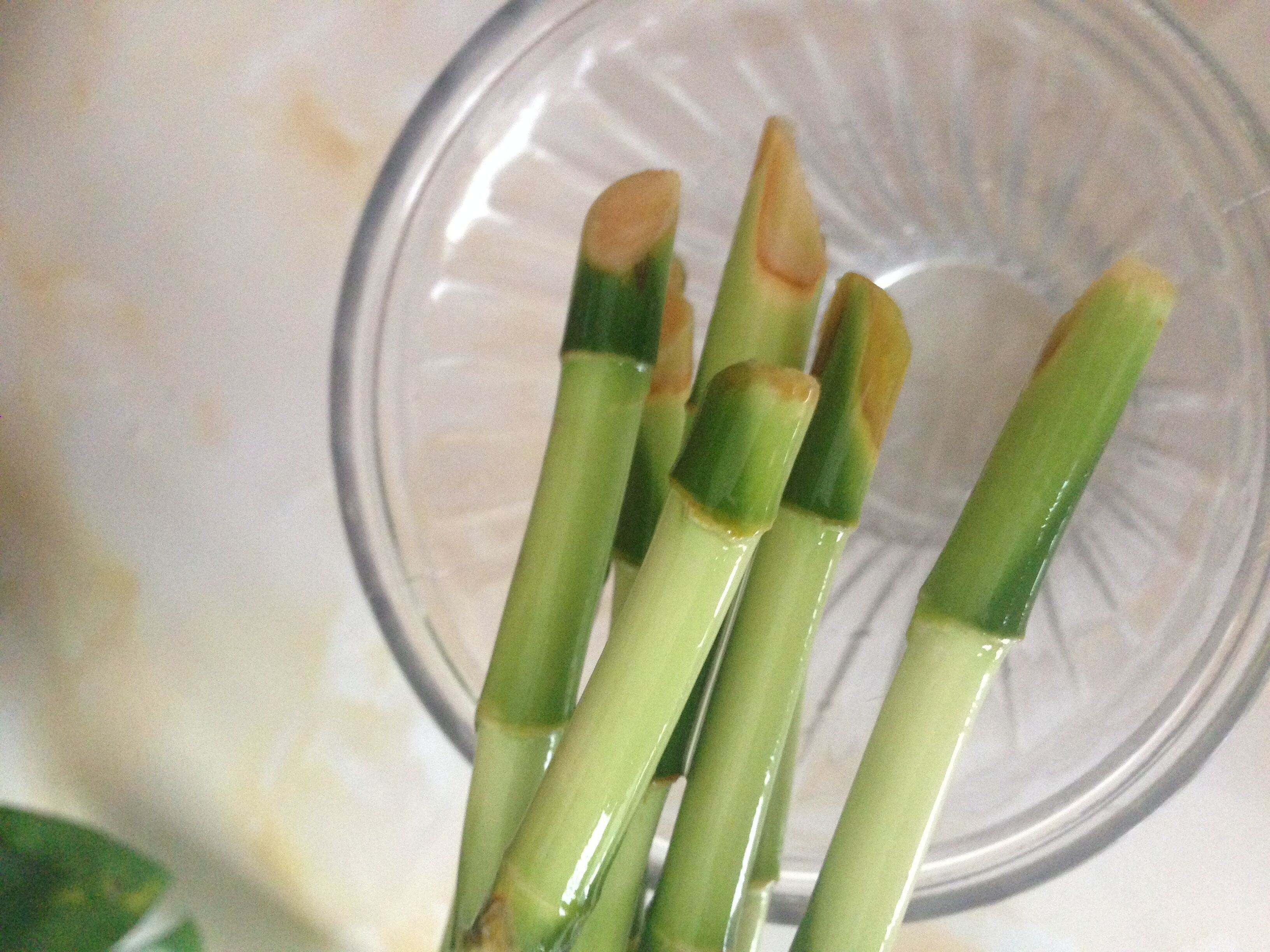 土培栽种的富贵竹黄叶了怎么处理,土培富贵竹黄叶怎么办如何补救