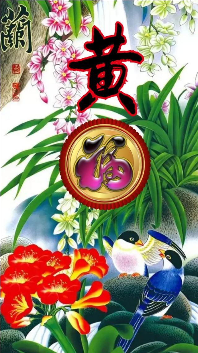 精美兰花壁纸图,兰花高贵壁纸