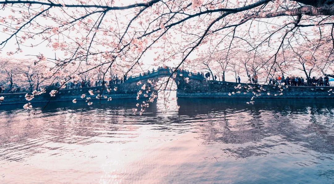 闲时立黄昏的唯美诗词,最美的诗词闲时与你立黄昏