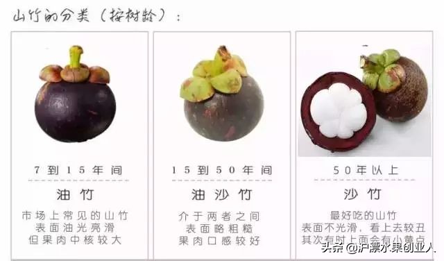 山竹选哪个最好,不会挑山竹记住这几点一挑一个准