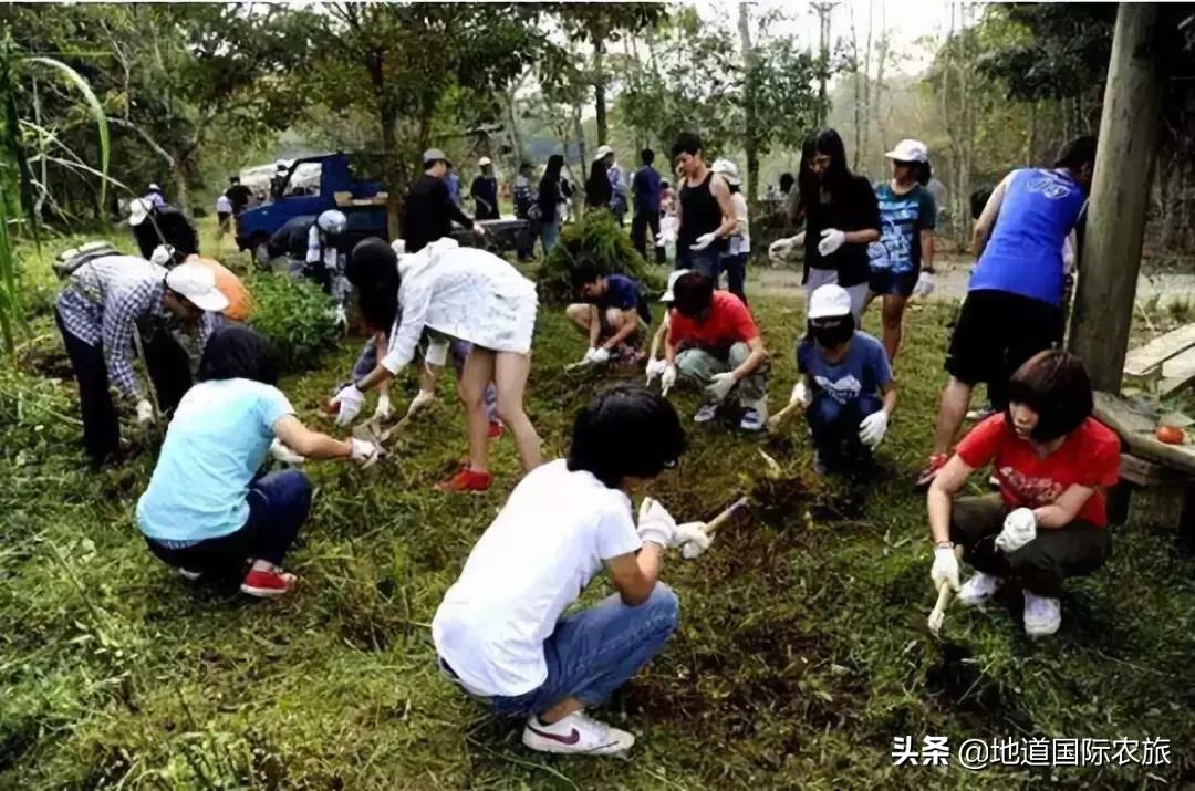 台湾乡村田园旅游案例分享,6个创意乡村旅游综合体