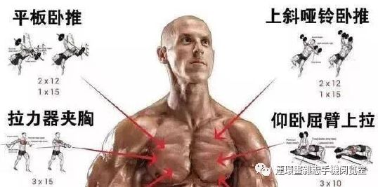 健身看图识物,健身看网上的教学视频