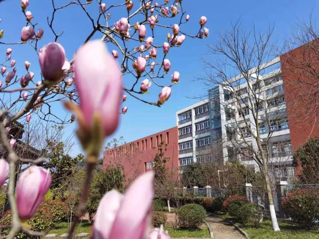 三位校长,三名校长