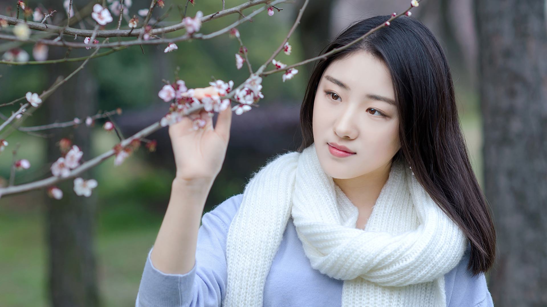 唐诗宋词是怎样描写梅花的,花中四君子描写梅花的诗句大全