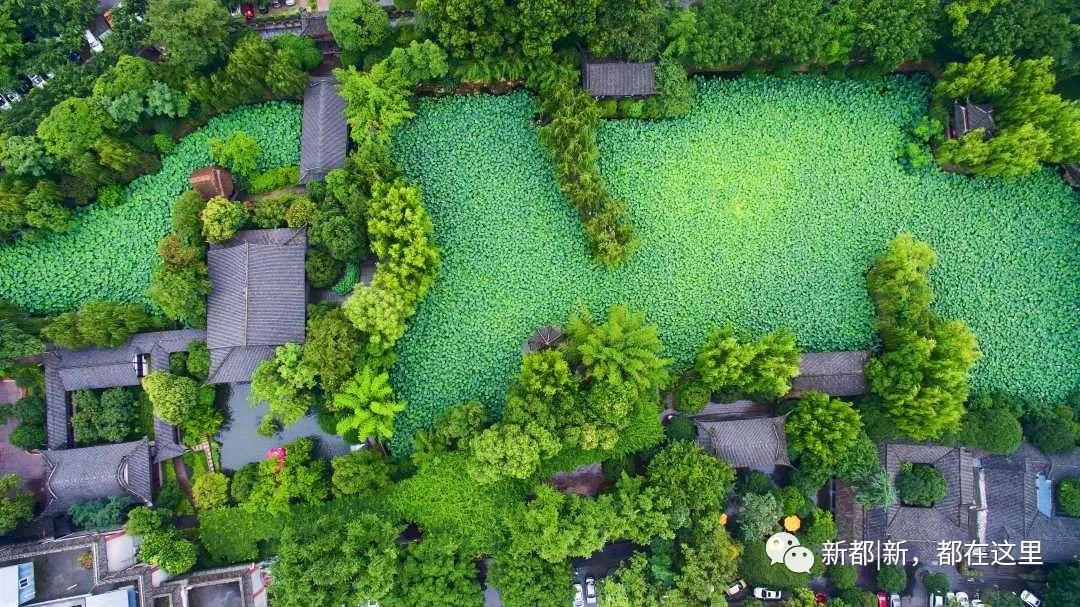 成都城市地标logo设计,新都香城宣传语