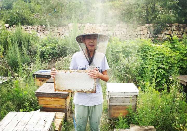 讨论一下什么是爱,讨论一下什么是性价比