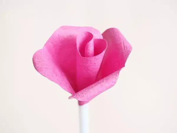 有颜色的玫瑰是怎么做出来的,白玫瑰怎么做七彩玫瑰