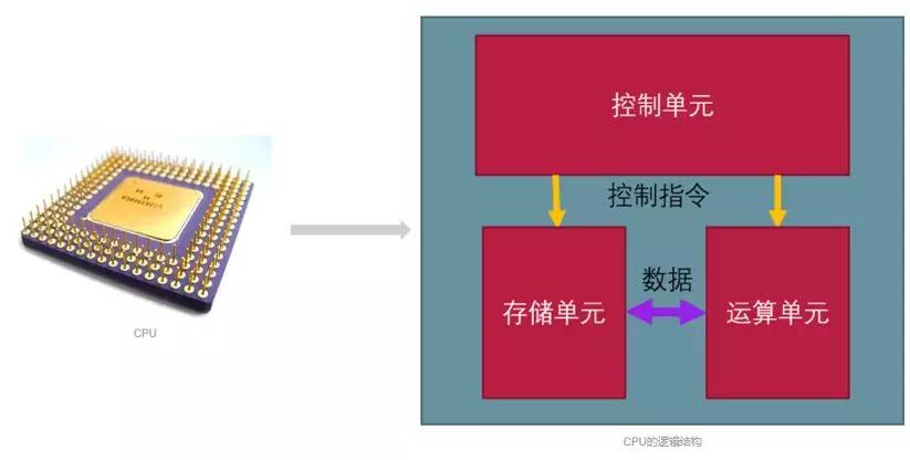 计算机的基本组成框图,计算机的基本组成一年级