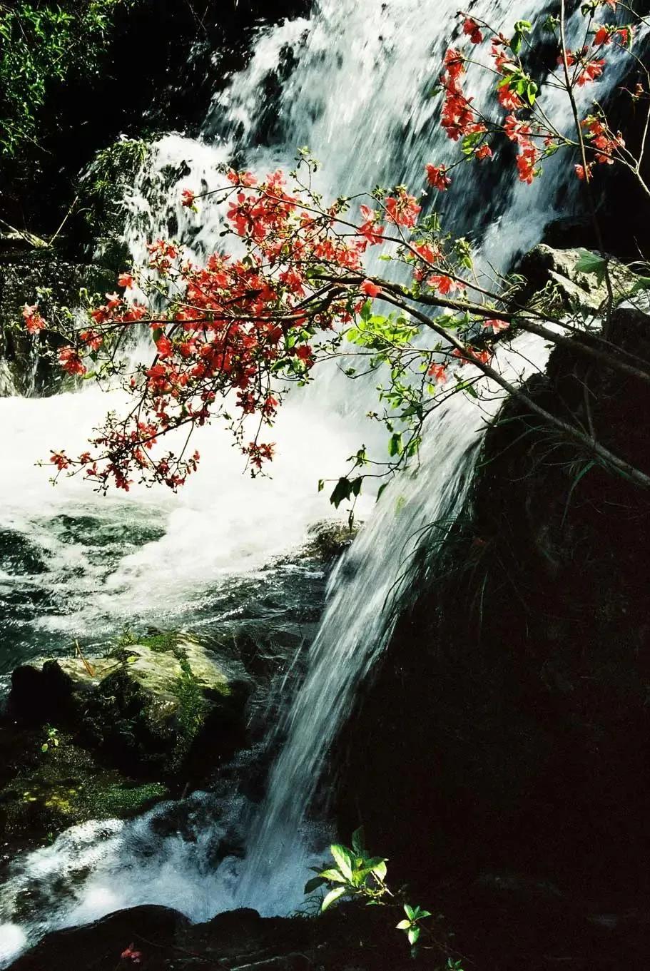 泡茶用水怎么选择比较好,泡茶的水应该选择什么标准