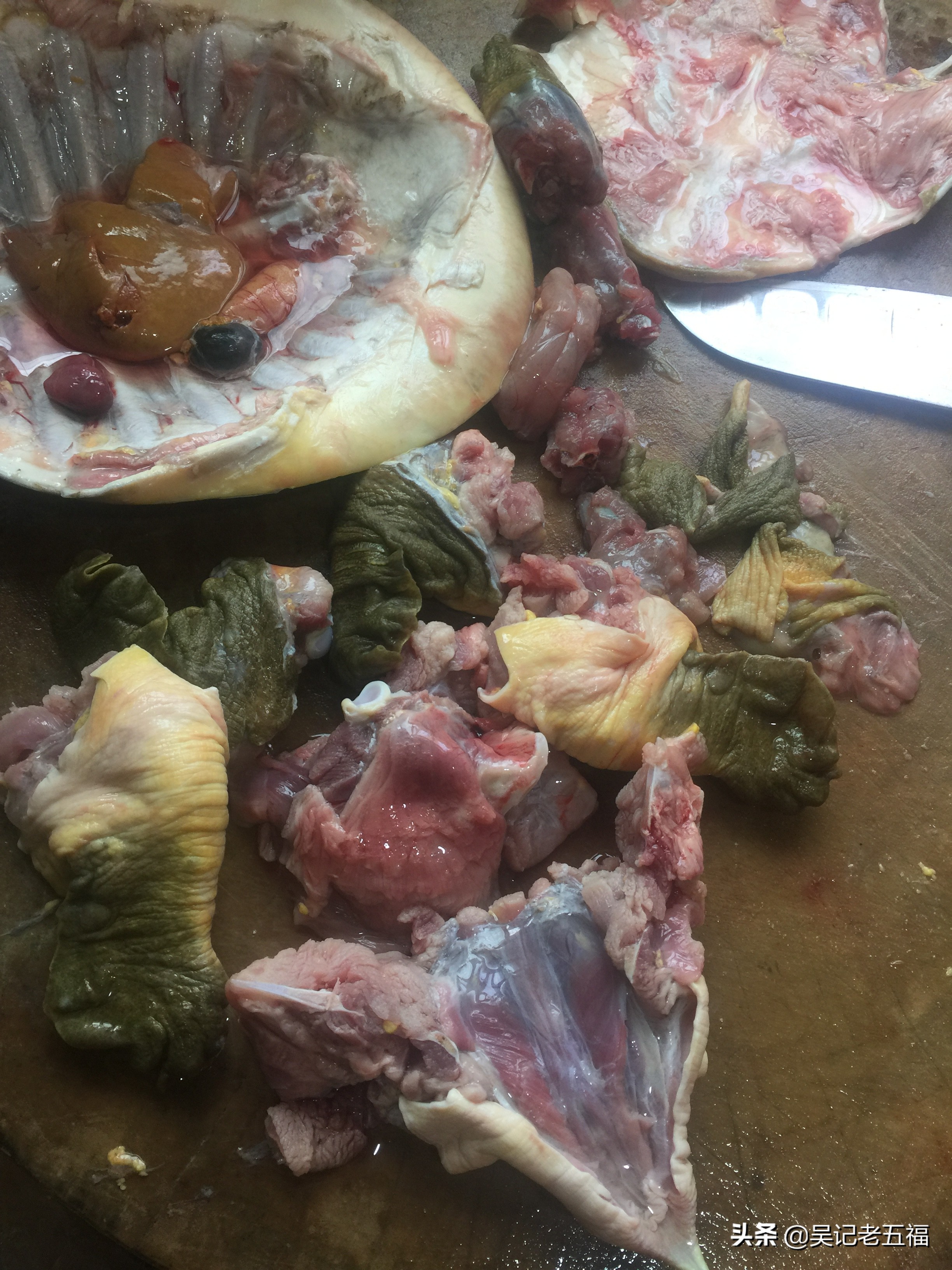 甲鱼排骨做法红烧,大师的菜红烧甲鱼