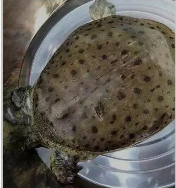 独家揭秘：佛教传播的见证——妙峰山及寿圣院考（作者：崔学法）