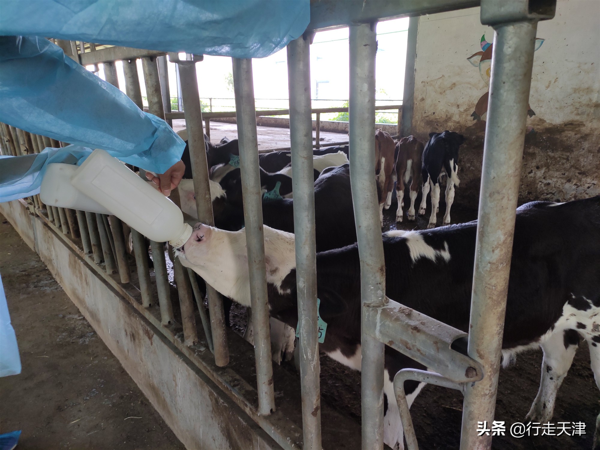 天津游玩景点推荐适合小孩,天津儿童游玩景点推荐