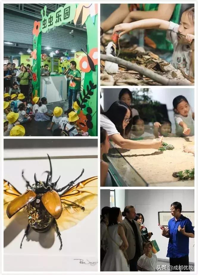 安排！亲子游必打卡：达芬奇IN成都、虫虫总动员、澳大利亚树皮画