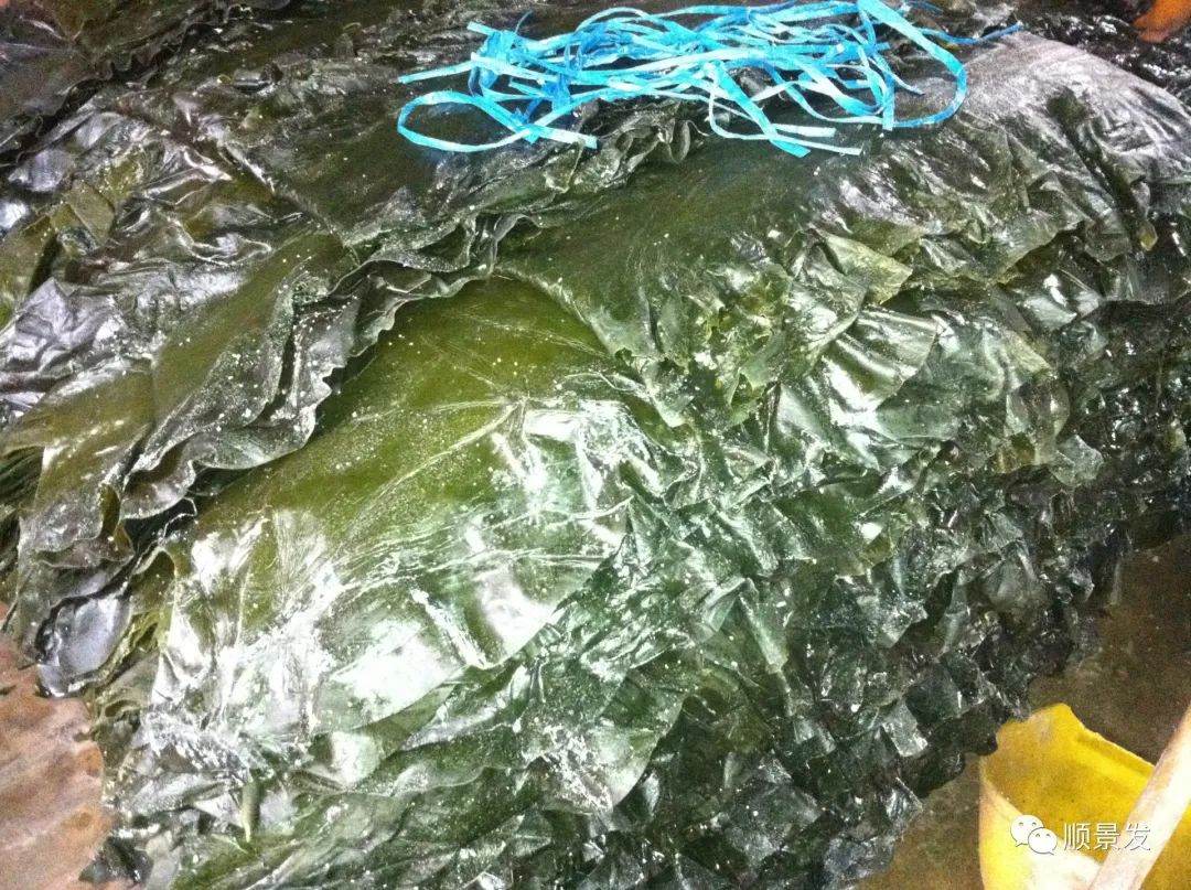 鲜美可口的干海鲜,干海鲜都有哪些做法