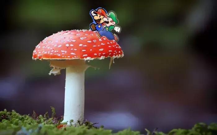 超级马里奥诞生于哪一年,超级马里奥一代背后的故事