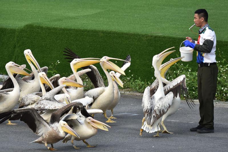 深圳五一旅游攻略推荐版,五一旅游推荐深圳哪里好玩的地方