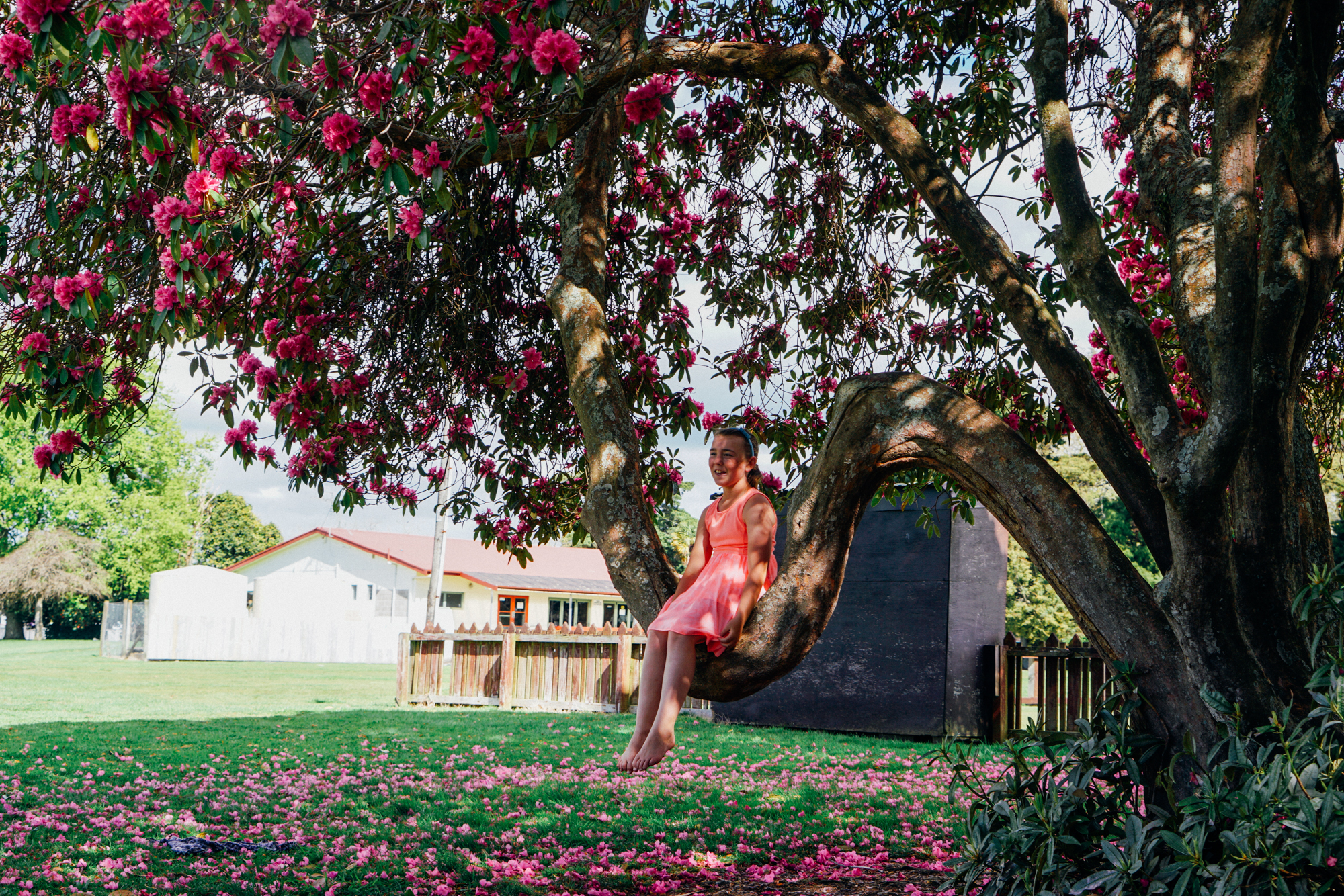 新西兰北岛值得去的地方,新西兰北岛哪里值得去