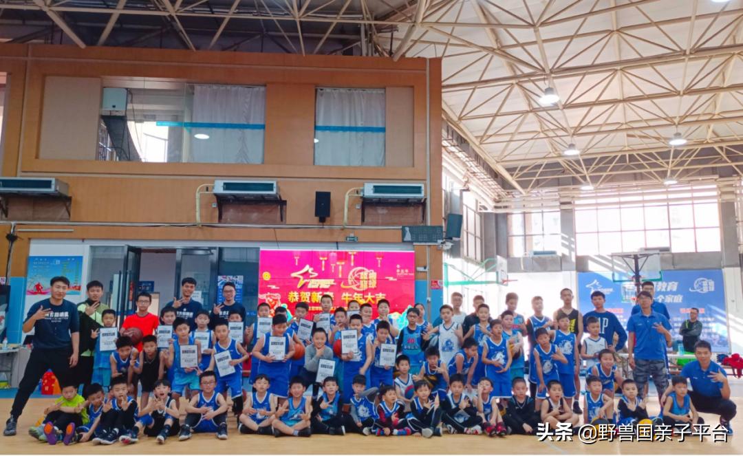 东莞儿童篮球培训机构哪个好,东莞儿童健身球哪家好