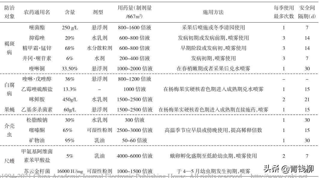 文成杨梅品牌介绍,东魁杨梅生产标准化规程