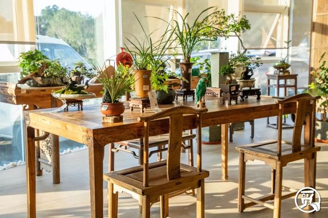 深圳花店有什么花,深圳龙华花店订花送花