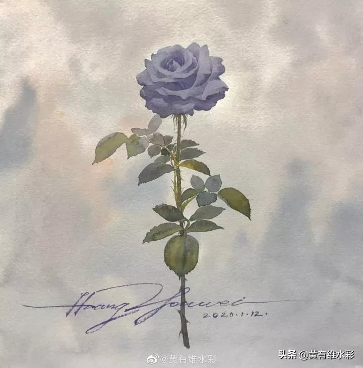 淡蓝色花朵水彩画,蓝色花主题水彩画复杂