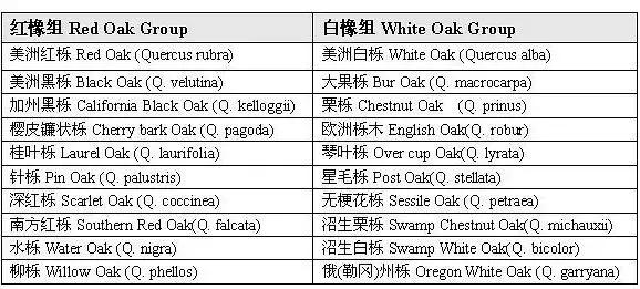 红橡白橡如何从构造上区分,买家具怎么辨别是不是实木