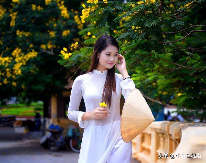 娶越南老婆真的好吗下集,越南娶老婆的骗局