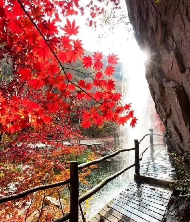 沈阳周末一日游推荐冬季,沈阳秋天去哪里看枫叶